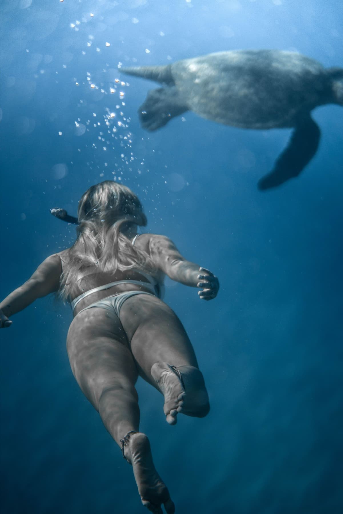 A snorkeller swimming beside a sea turtle in deep blue water